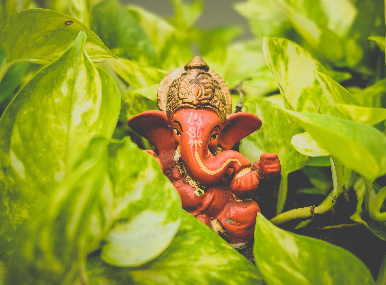 Ganesha Mini Red Figure Wallpaper