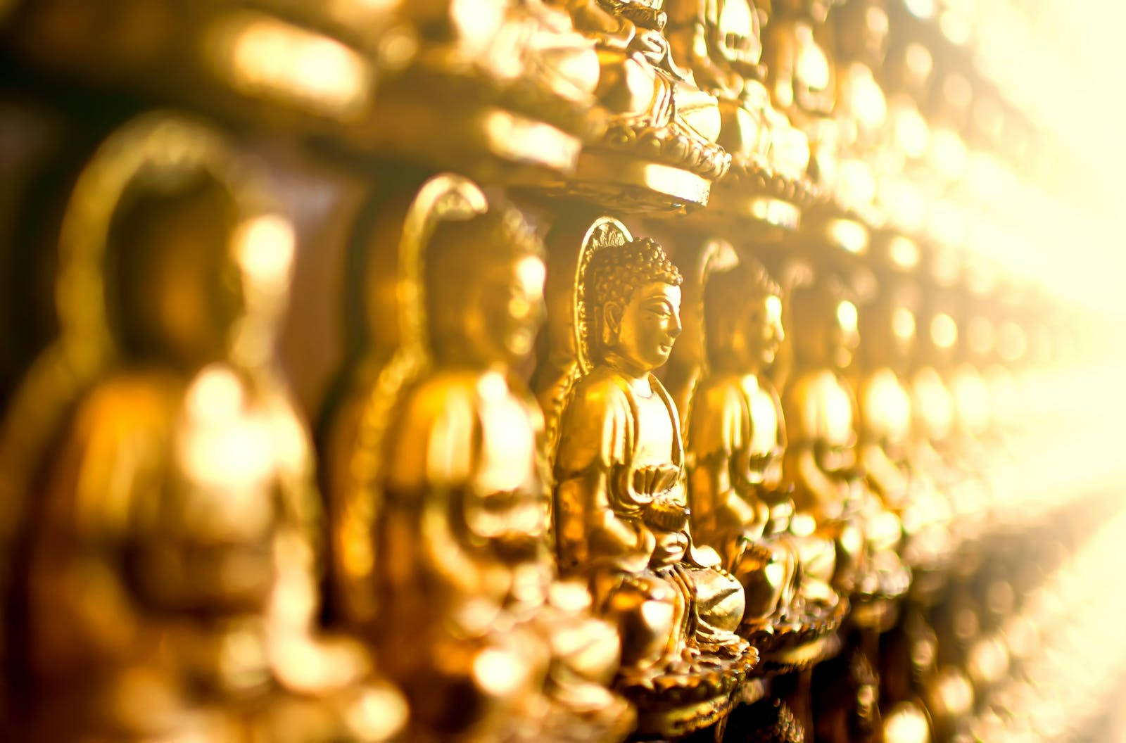 Gautam Buddha Golden Statues Wallpaper
