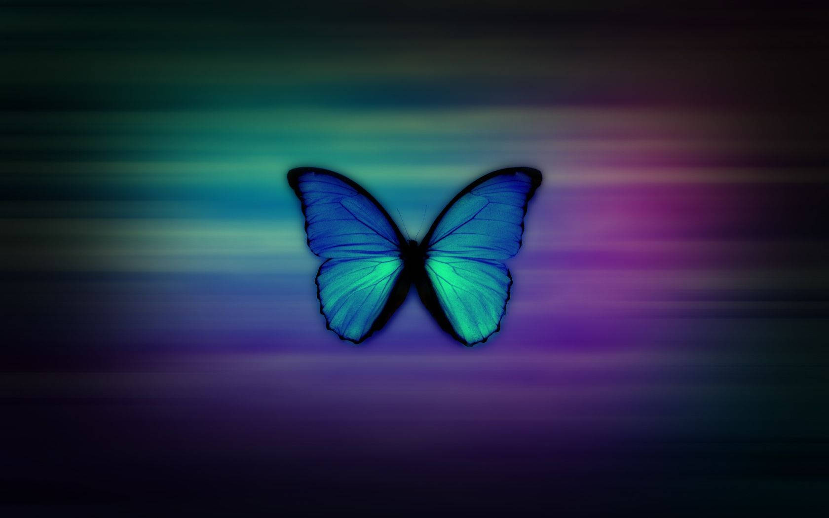 Genuine Blue Butterfly Wallpaper