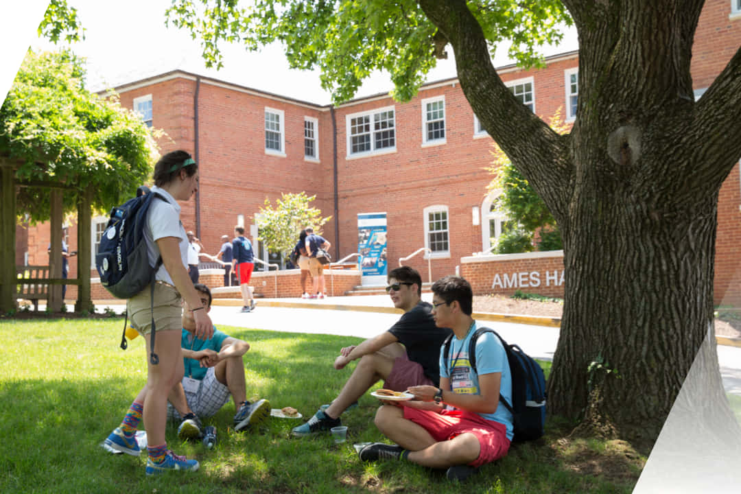 George Washington University Students Spending Leisure Time In The University Yard. Wallpaper