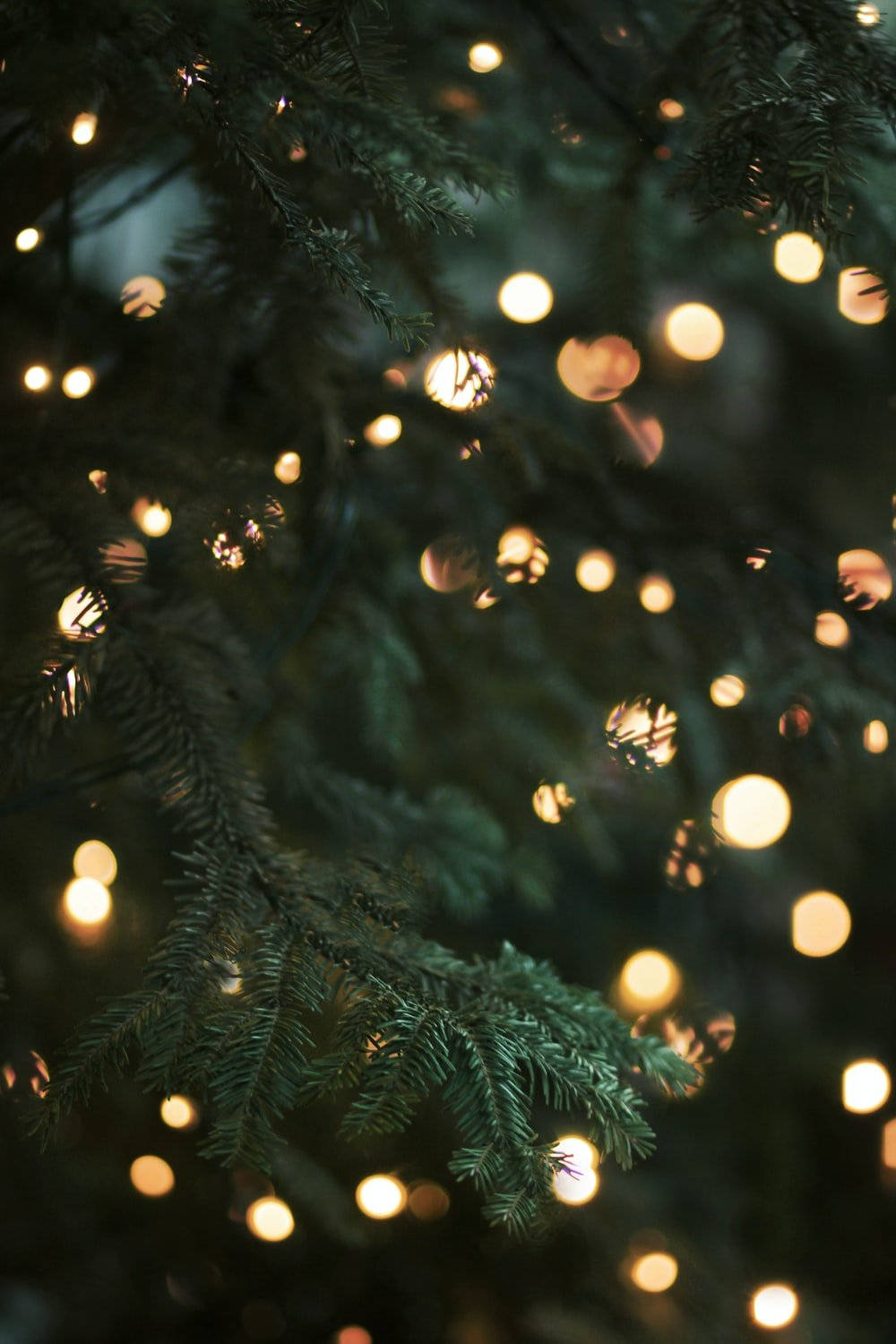 Get Into The Christmas Spirit With A Mesmerizing Display Of Twinkling Lights! Wallpaper