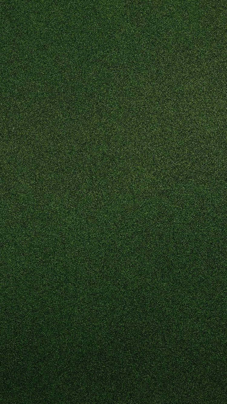 Get Lost In The Emerald Sheen Of The Olive Green Iphone. Wallpaper