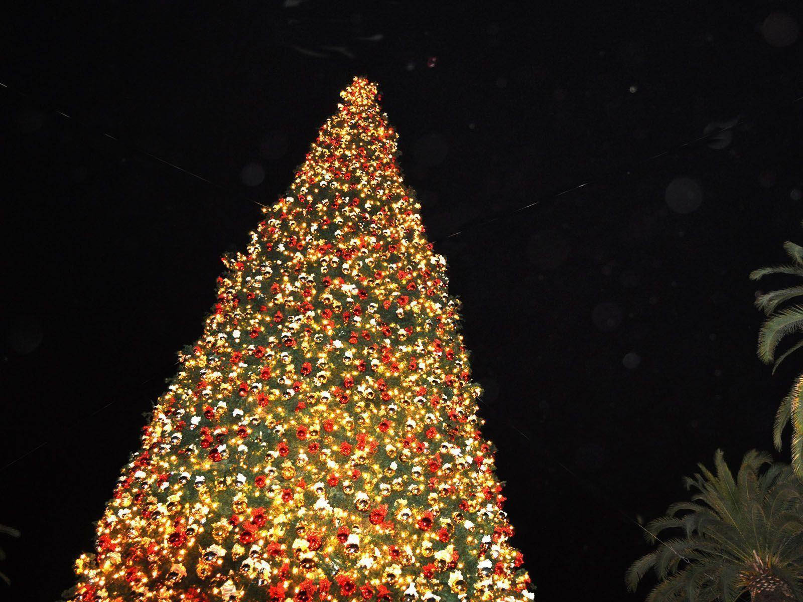 Giant Christmas Tree With Pretty Lights Wallpaper
