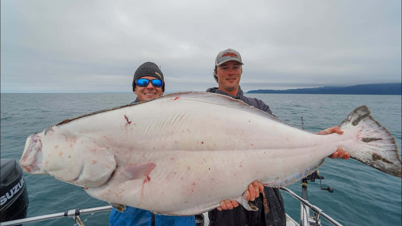 Giant Halibut Catch Two Fishermen Wallpaper