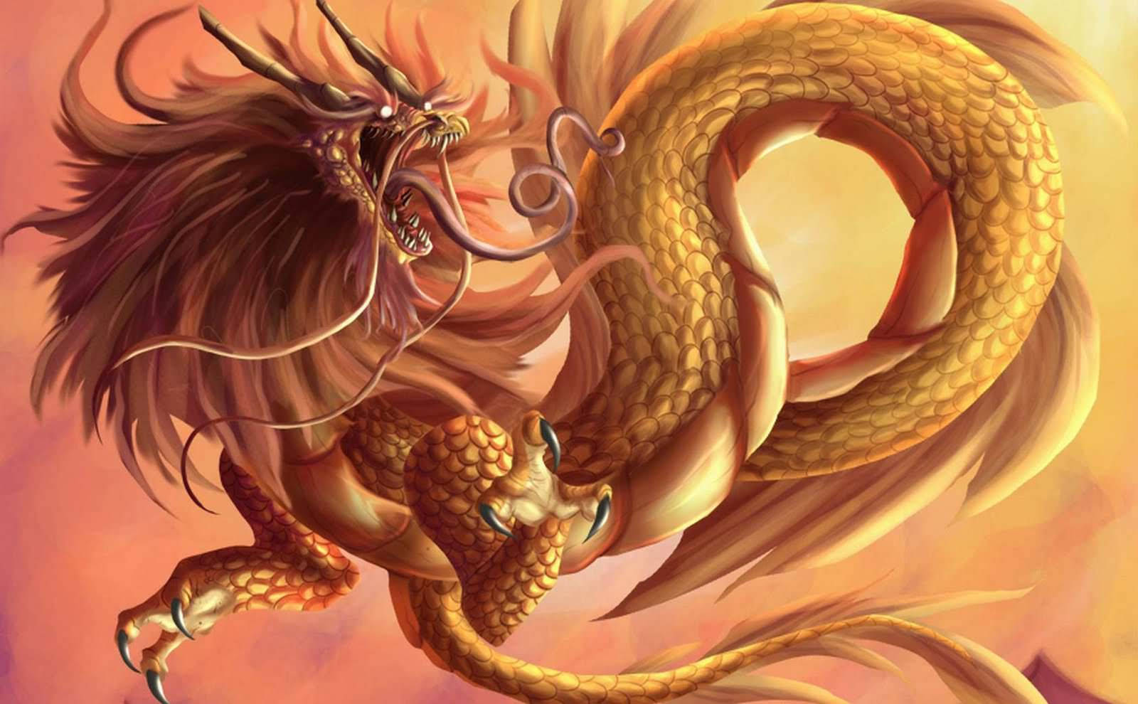 Golden Light Dragon Wallpaper