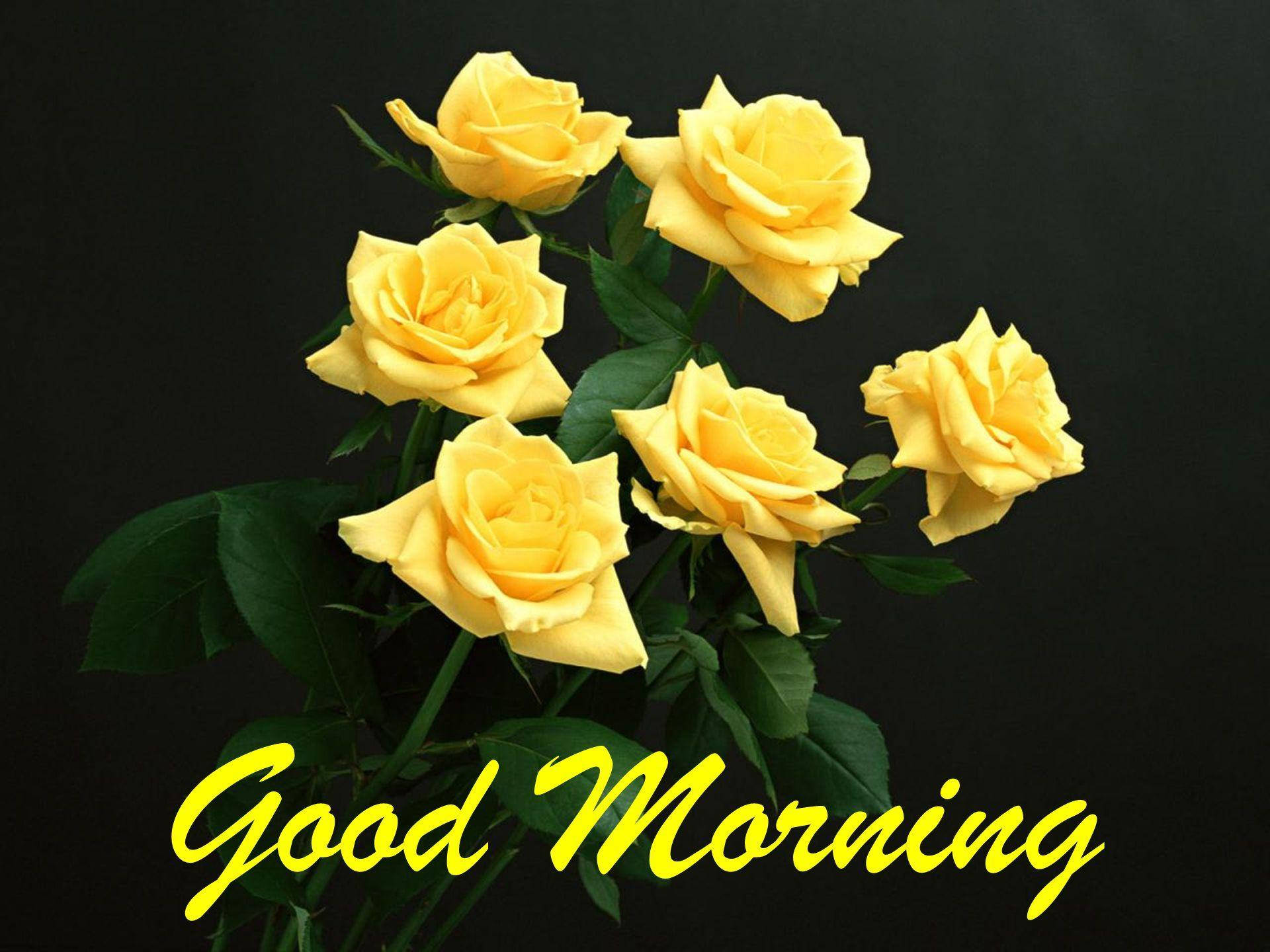 Download free Good Morning Hd With Yellow Roses Wallpaper - MrWallpaper.com