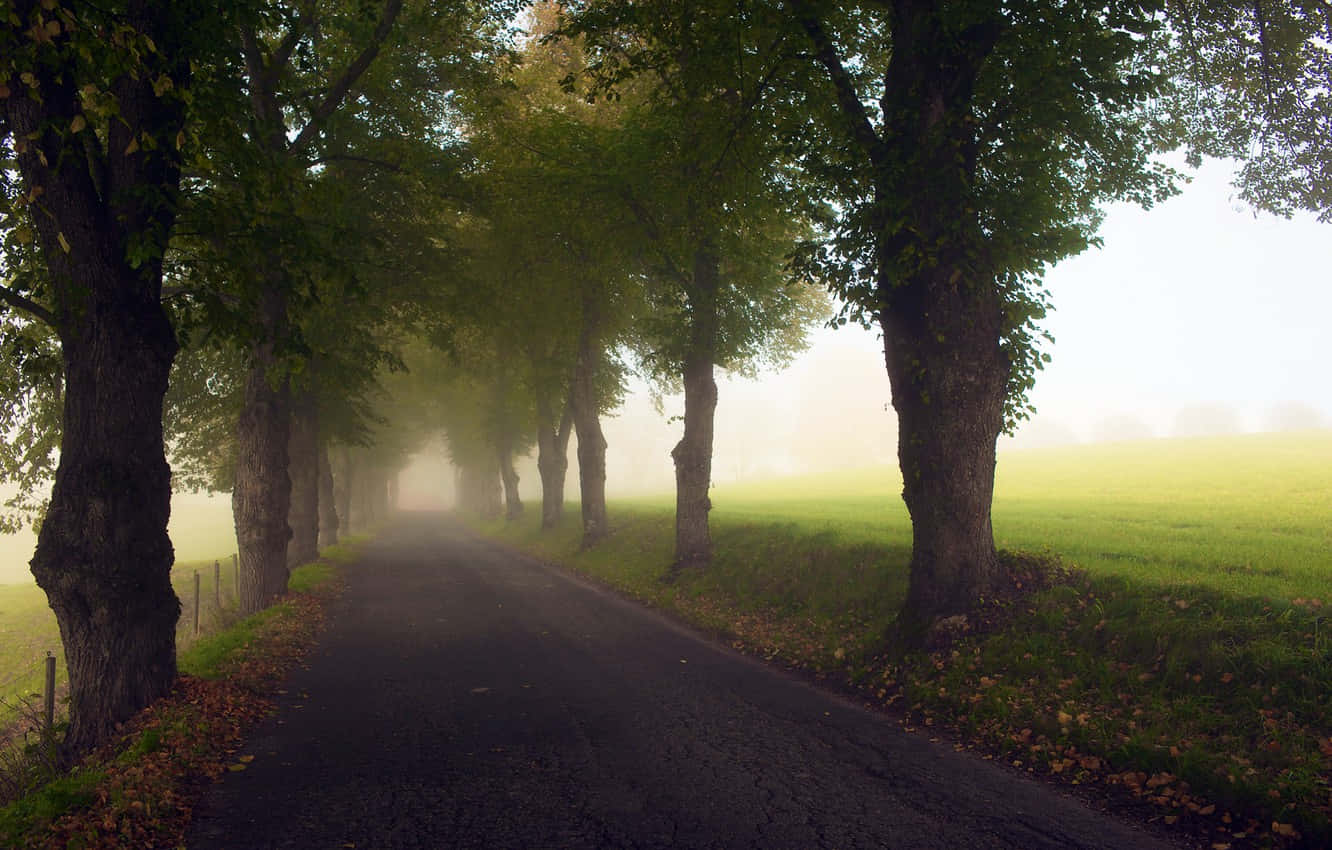 Goodbye Summer, Hello Autumn! Wallpaper