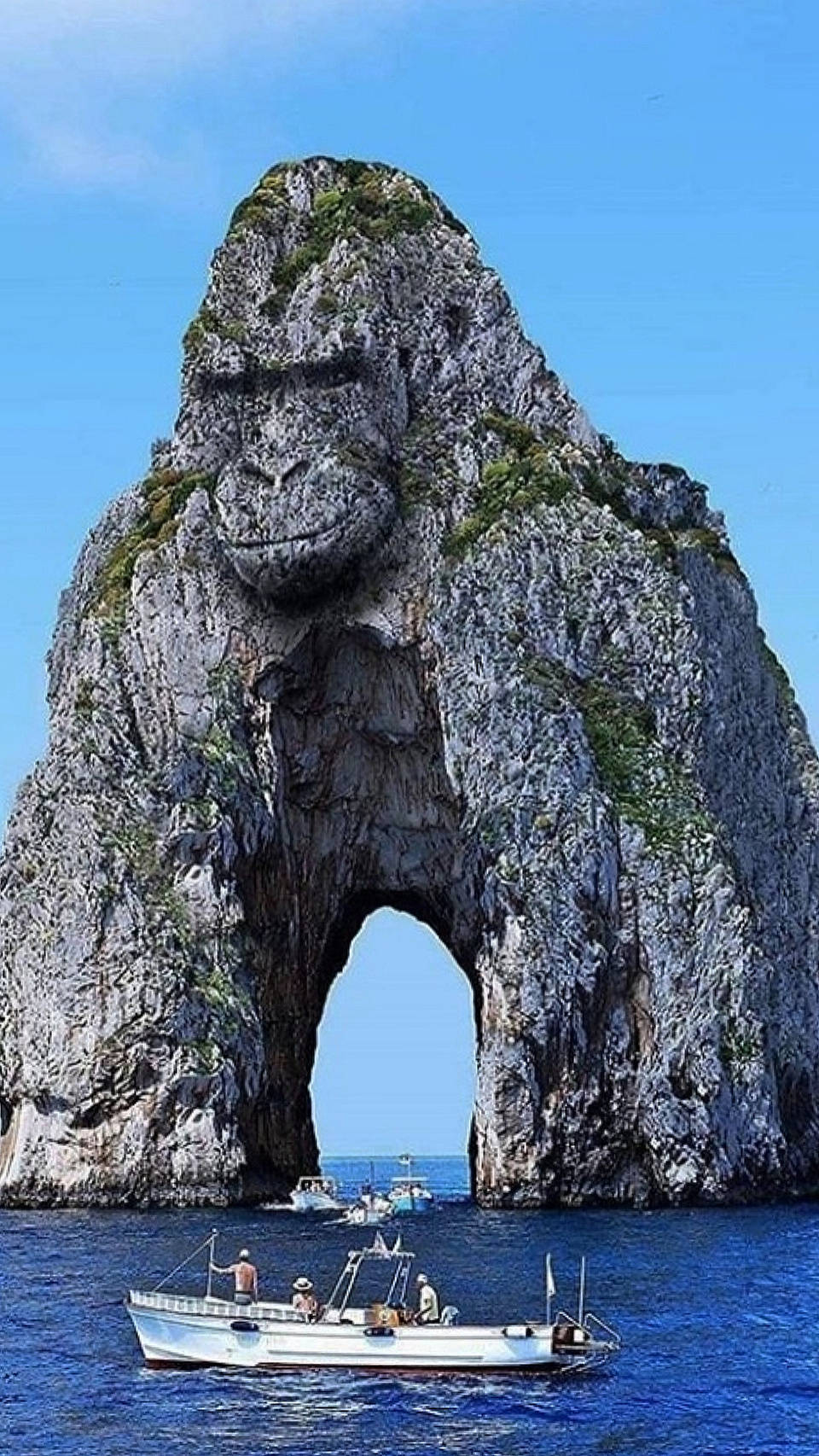 Gorilla Iphone Rock Island Wallpaper