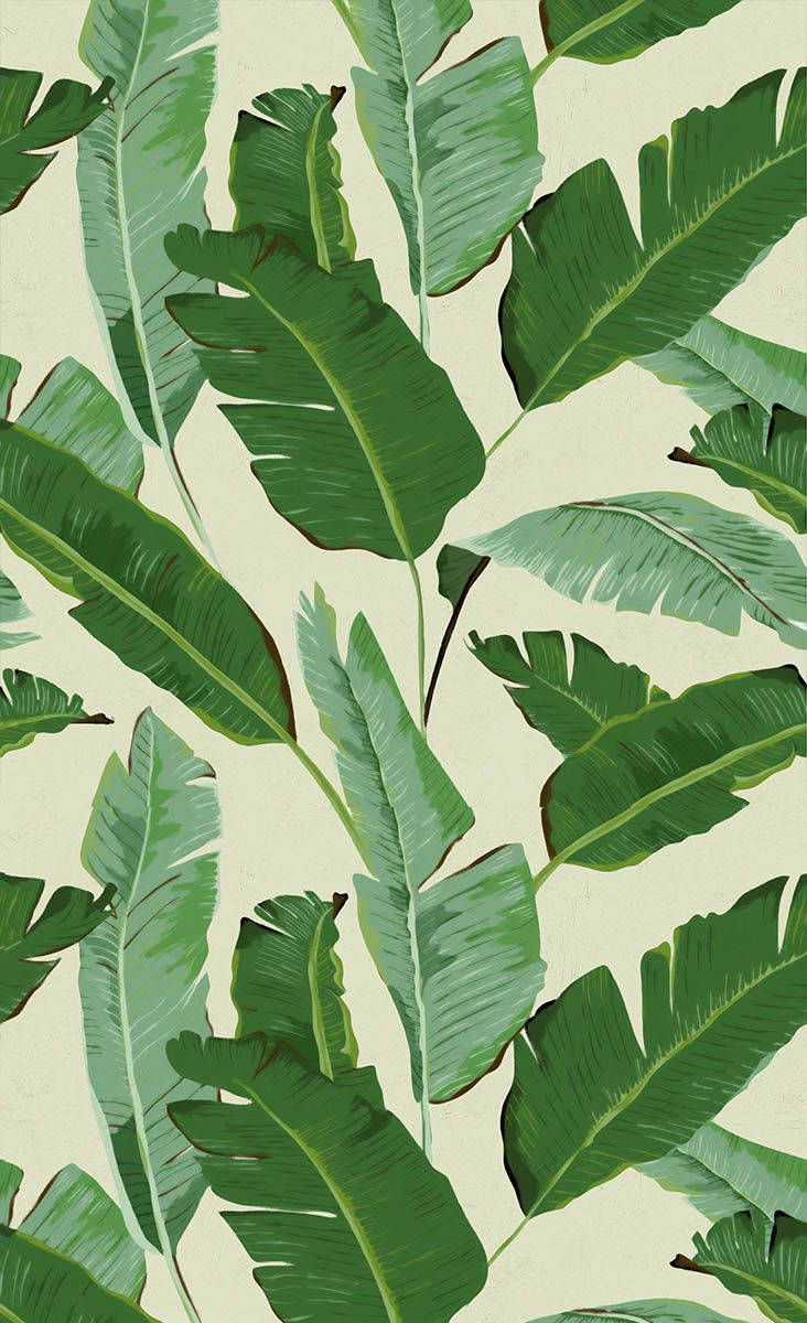 Green Banana Leaf Pattern Art Wallpaper
