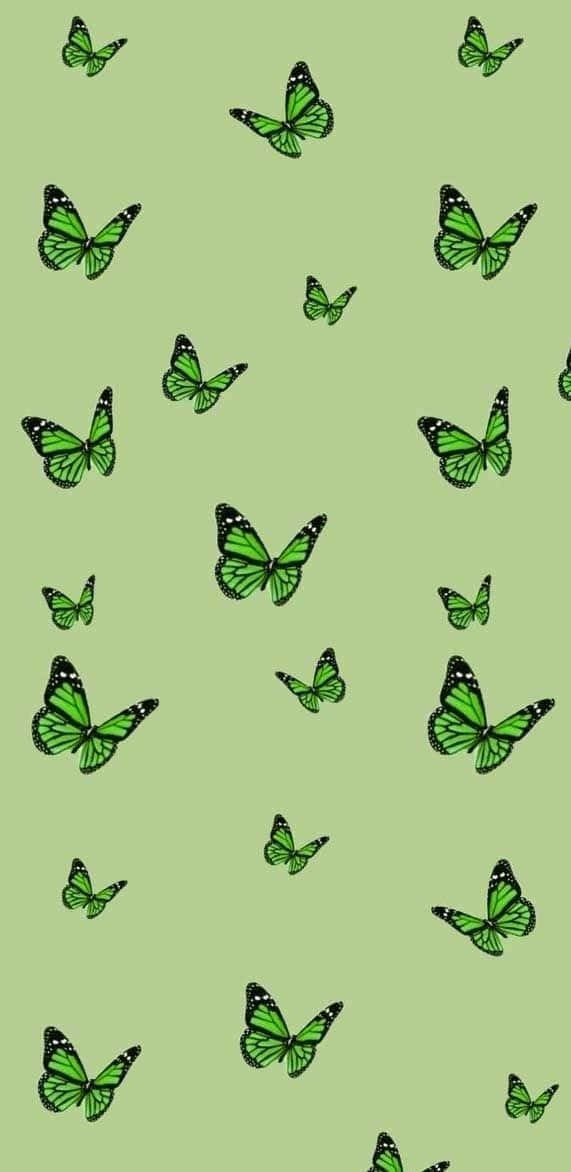 Green Butterfly Flying Around Wallpaper