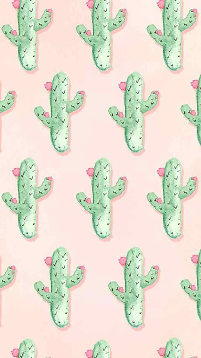 Green Cactus Cute Iphone Lock Screen Wallpaper