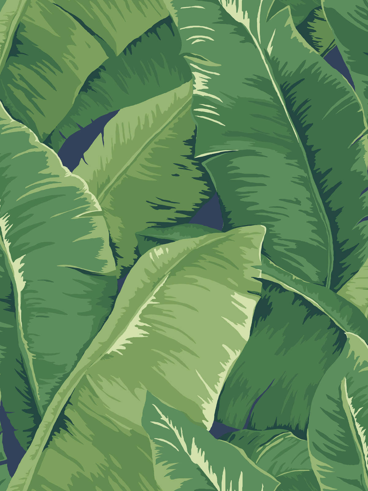 Green Clustered Banana Leaf Hd Wallpaper