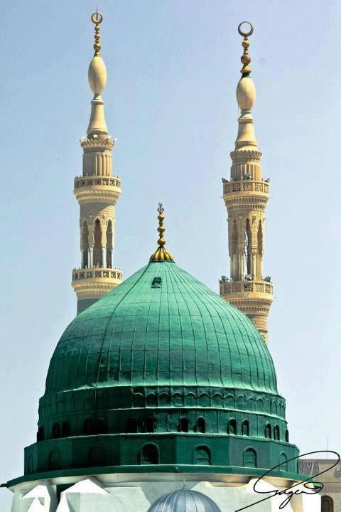 Green Dome In Focus Madina Wallpaper