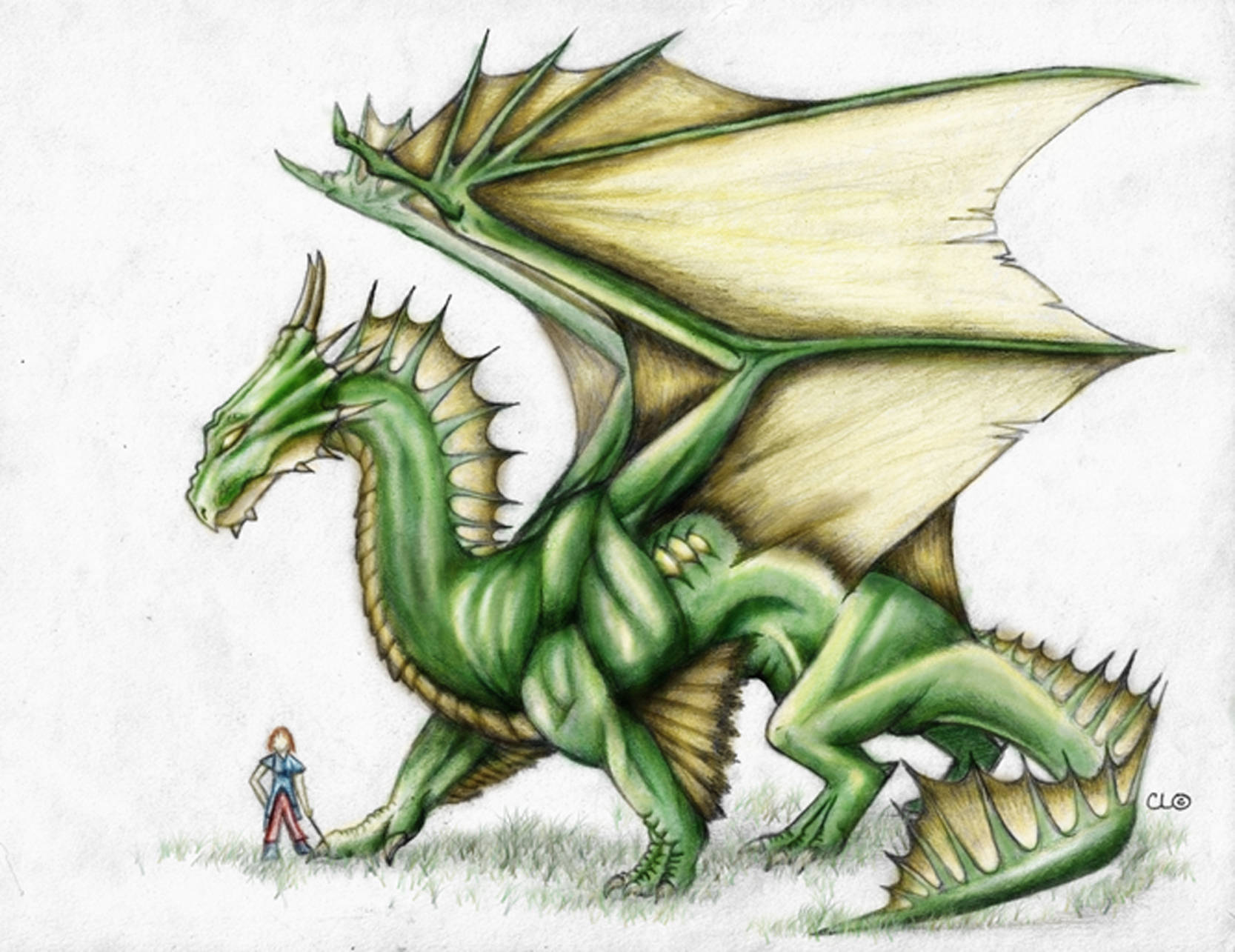 Green Earth Dragon Drawing Wallpaper