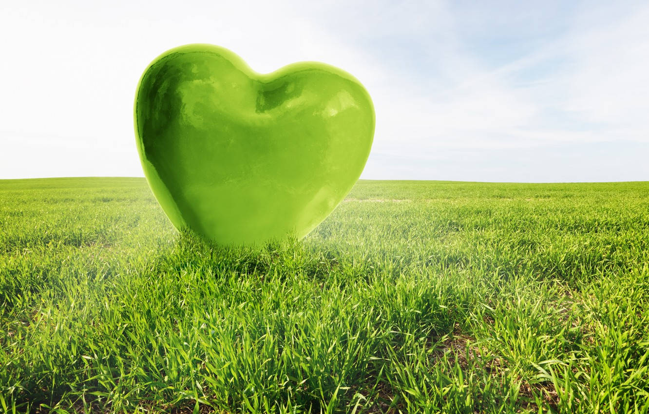 Green Heart Field Wallpaper