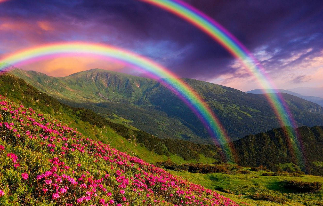 Green Hill Twin Rainbows Wallpaper