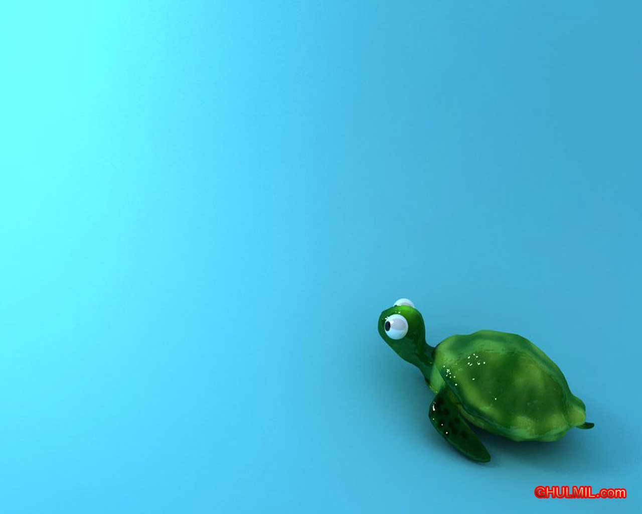 Green Turtle On Blue Surface Cute Computer Wallpaper