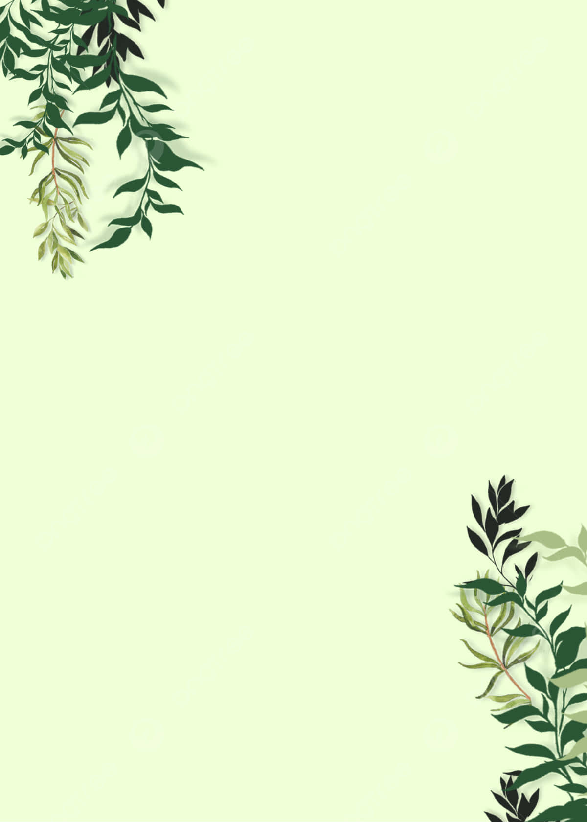 Green Vine Border Background Wallpaper
