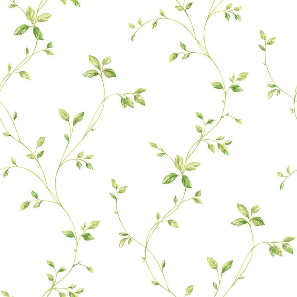 Green Vine Pattern Background Wallpaper