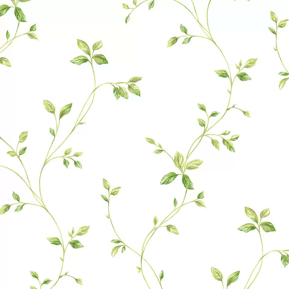Green Vine Pattern Background Wallpaper