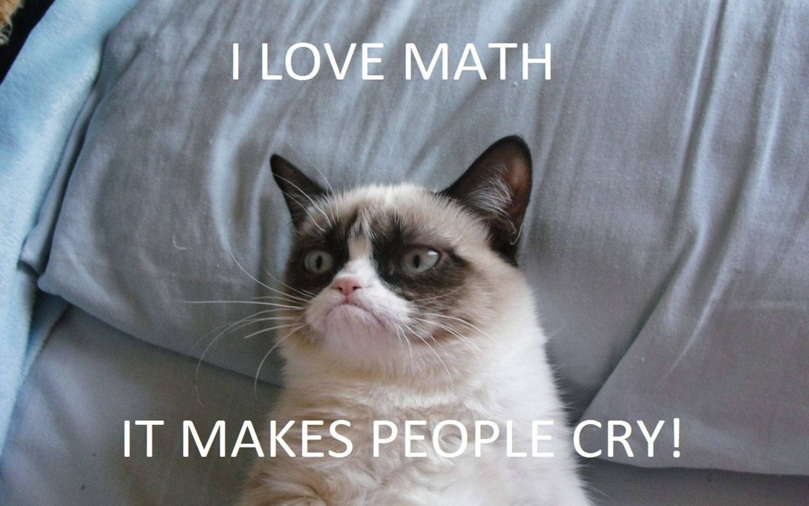 Grumpy Math Funny Meme Wallpaper