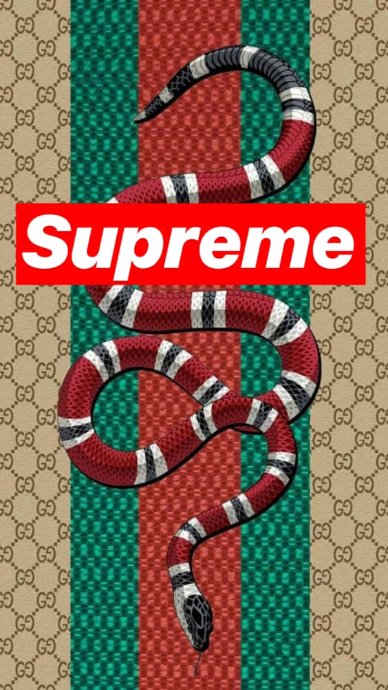 Gucci Coral Snake With The Supreme Logo Wallpaper