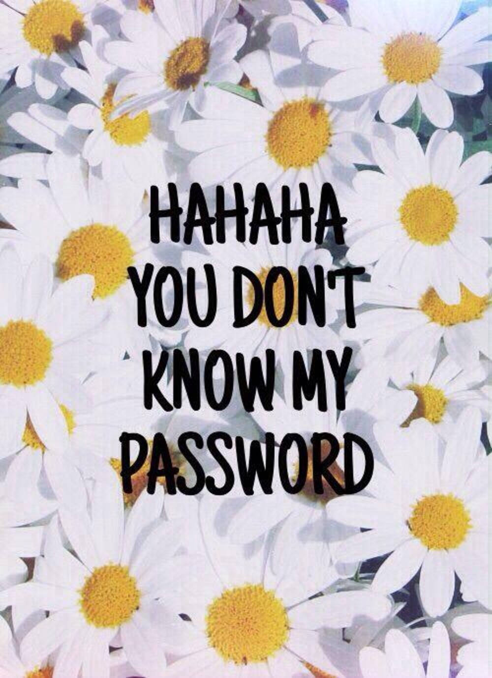Hahaha You Dont Know My Password 1000 X 1380 Wallpaper