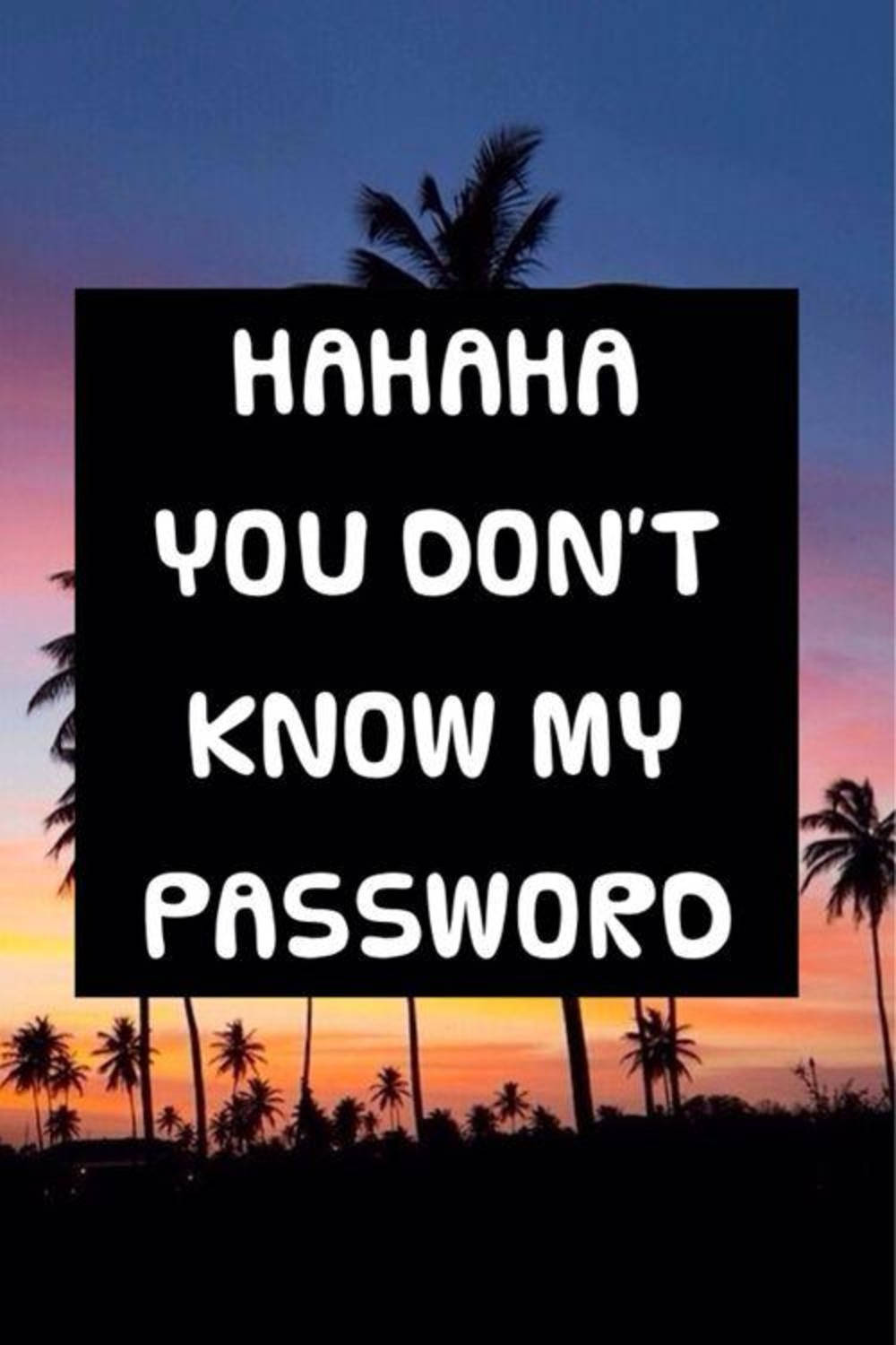 Hahaha You Dont Know My Password 1000 X 1500 Wallpaper