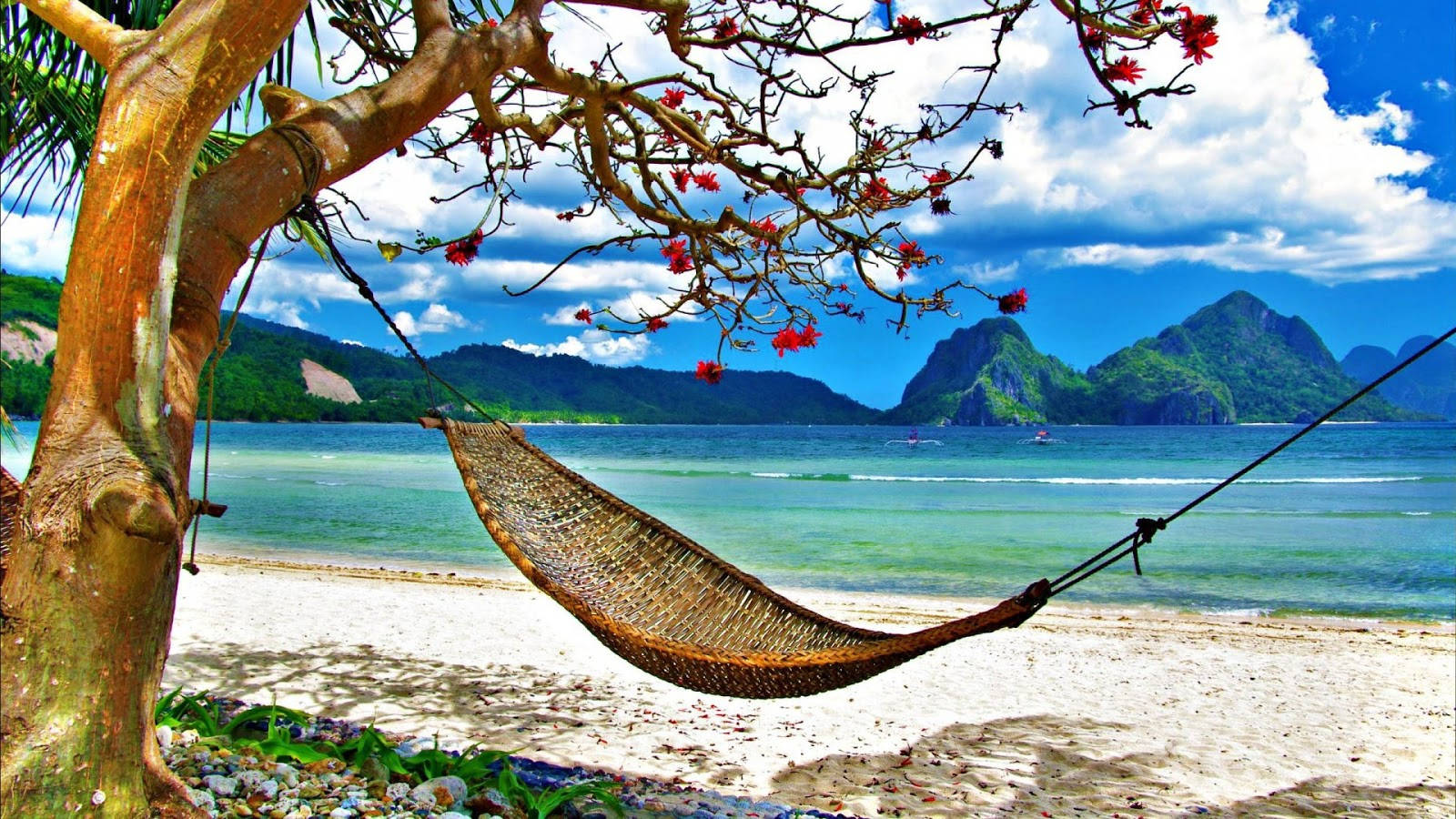 Hammock By The Brunei Beach Wallpaper