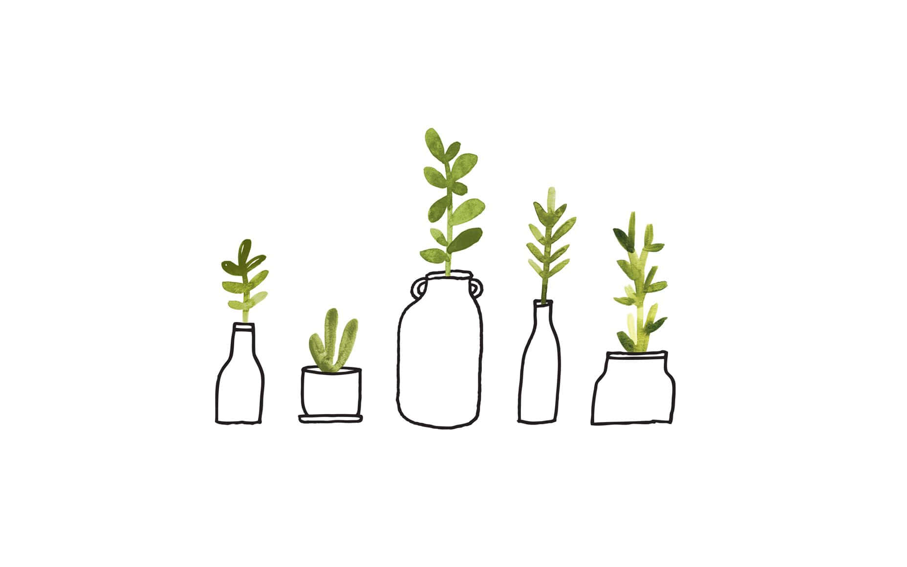 Hand Drawn Plants Nice Desktop Wallpaper