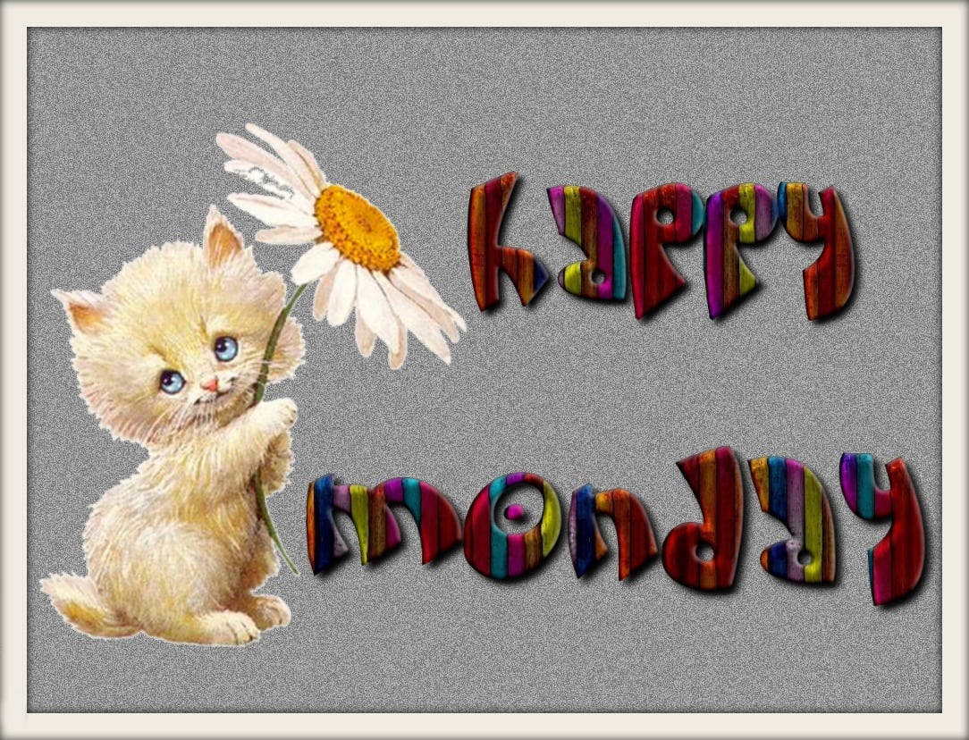 Happy Monday Kitten Wallpaper