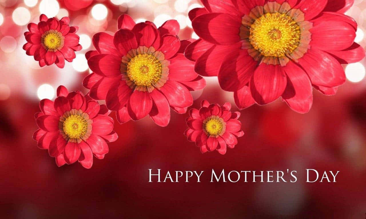 Happy Mothers Day Greeting Red Flowers Background Hd Wallpaper
