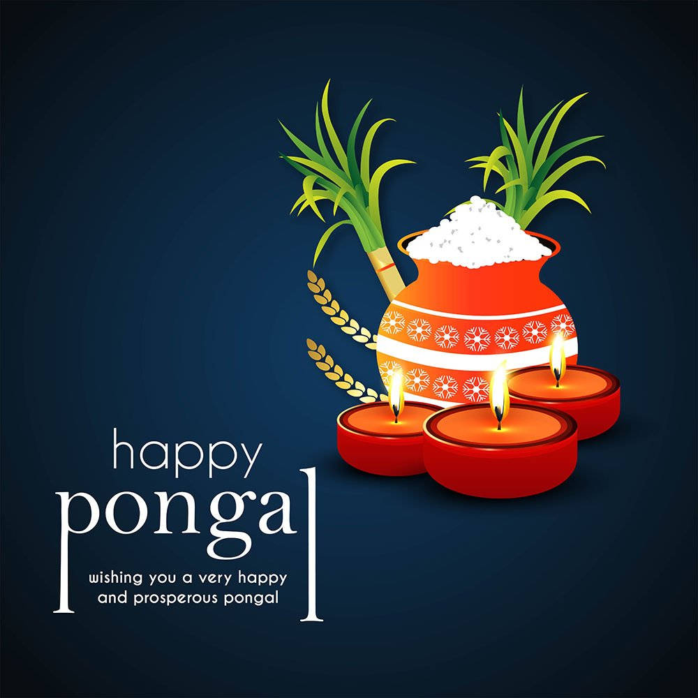 Happy Pongal Festivity Wishes Wallpaper