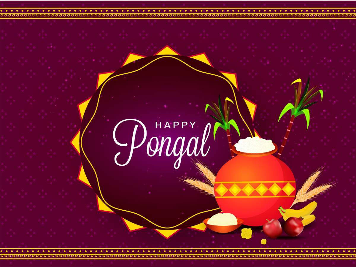 Happy Pongal Purple Poster Wallpaper