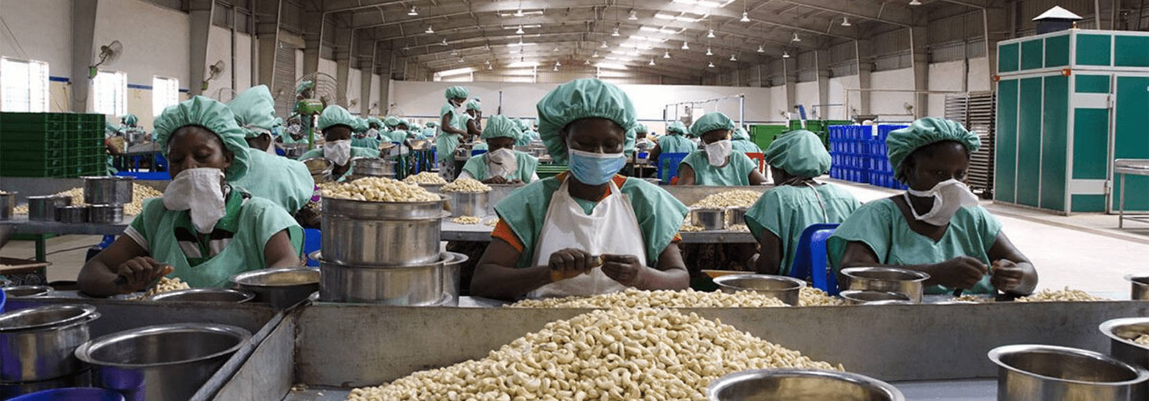 Hardworking Factory Workers In Benin Wallpaper