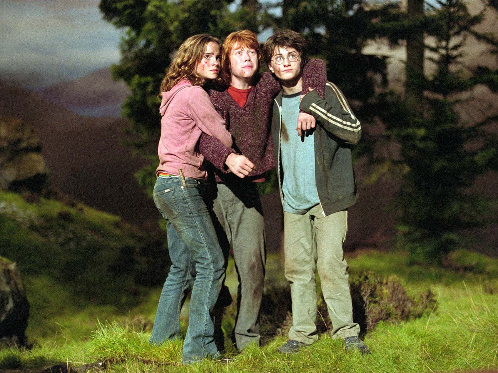 Harry, Hermione & Ron - The Golden Trio Wallpaper