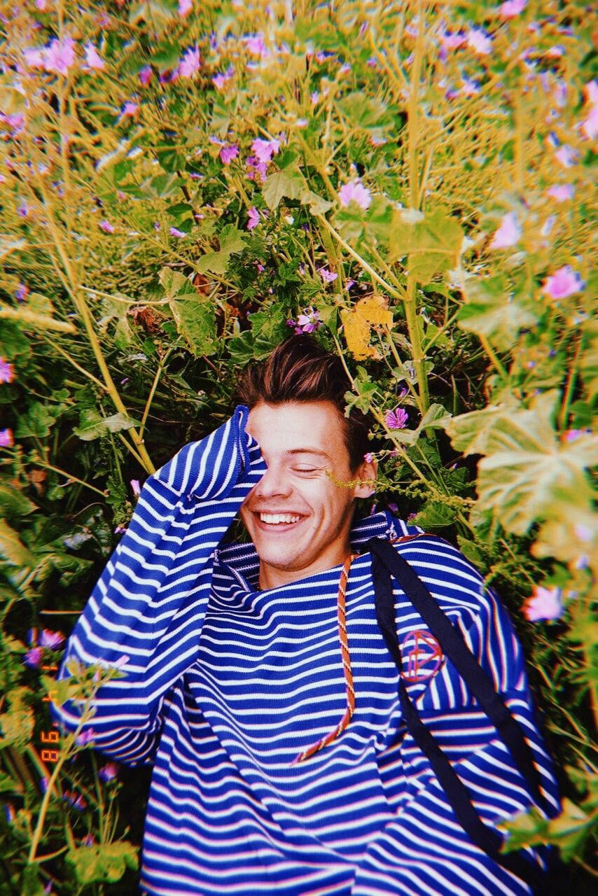 Harry Styles In Flower Field Wallpaper