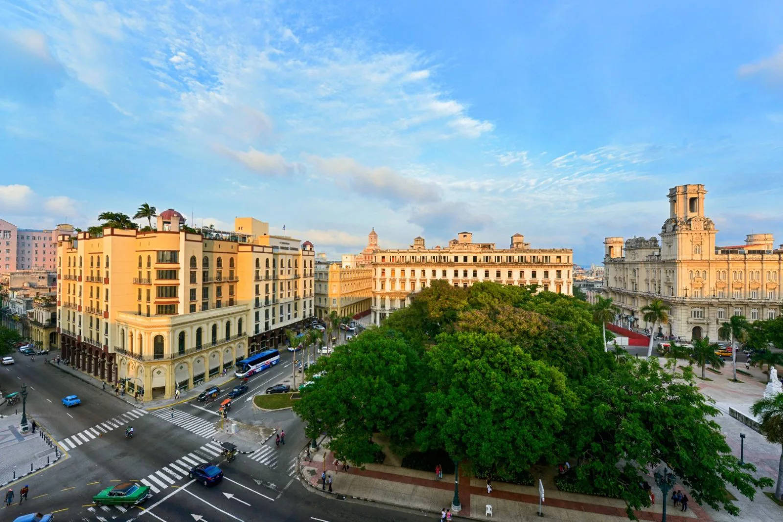 Havana Trees Plaza Wallpaper