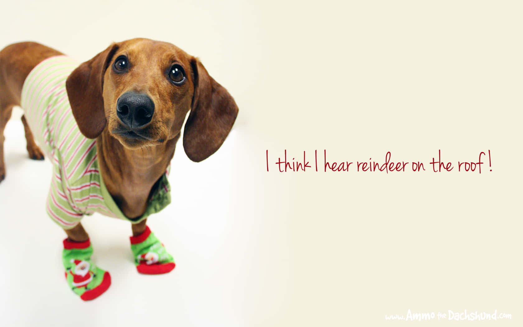 Have A Laugh With This Fun Holiday Desktop Wallpaper