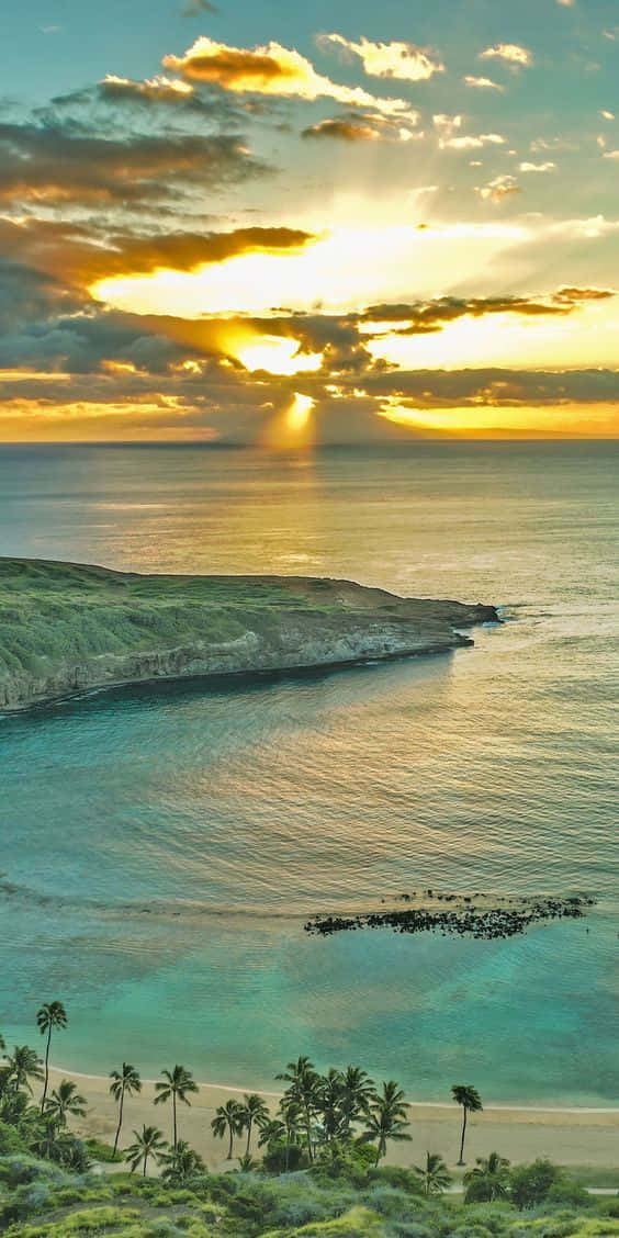 Hawaii Beach Aerial Perspective Iphone Wallpaper