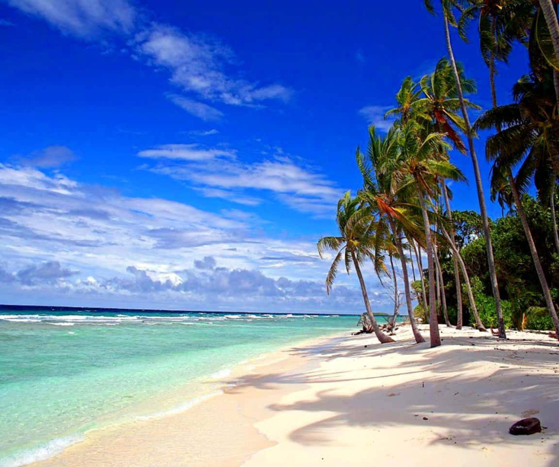 Hawaii Beach Palm Trees On Shore Wallpaper