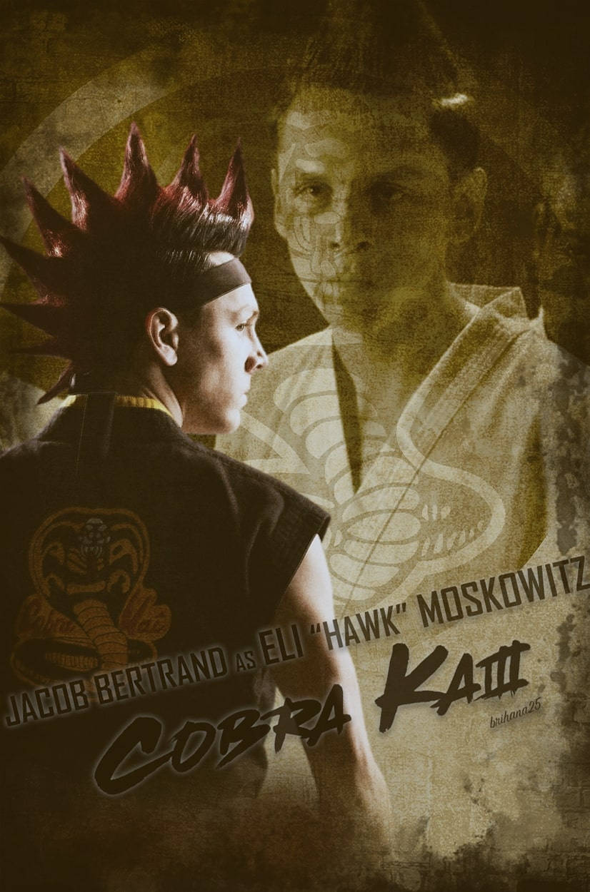 Hawk, Rising Power From Cobra Kai Wallpaper