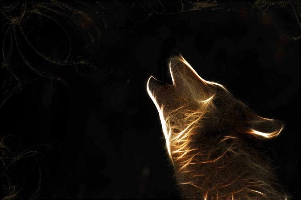 Hd Wolf Electric Wallpaper