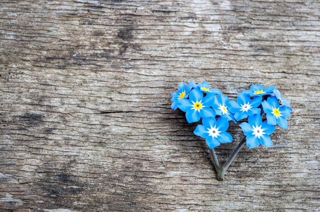 Heart Shaped Forget Me Not Flowers Wallpaper
