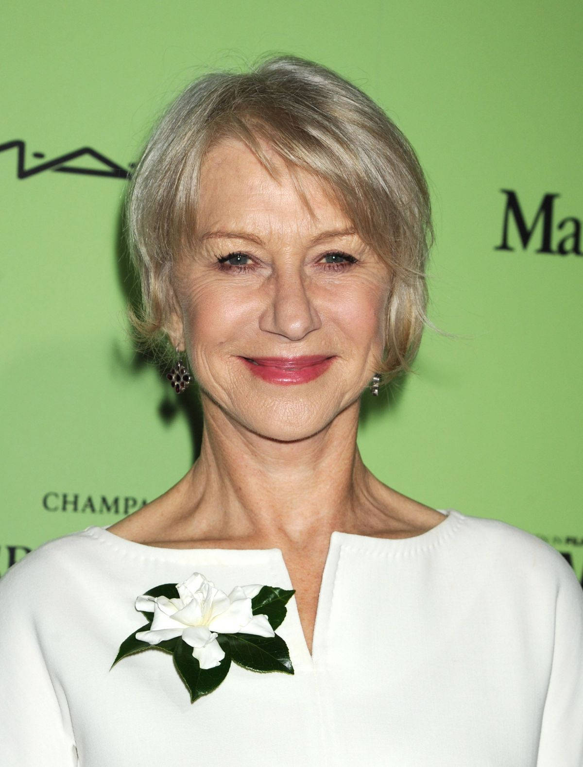 Helen Mirren Celebrity With Gray Hair Wallpaper