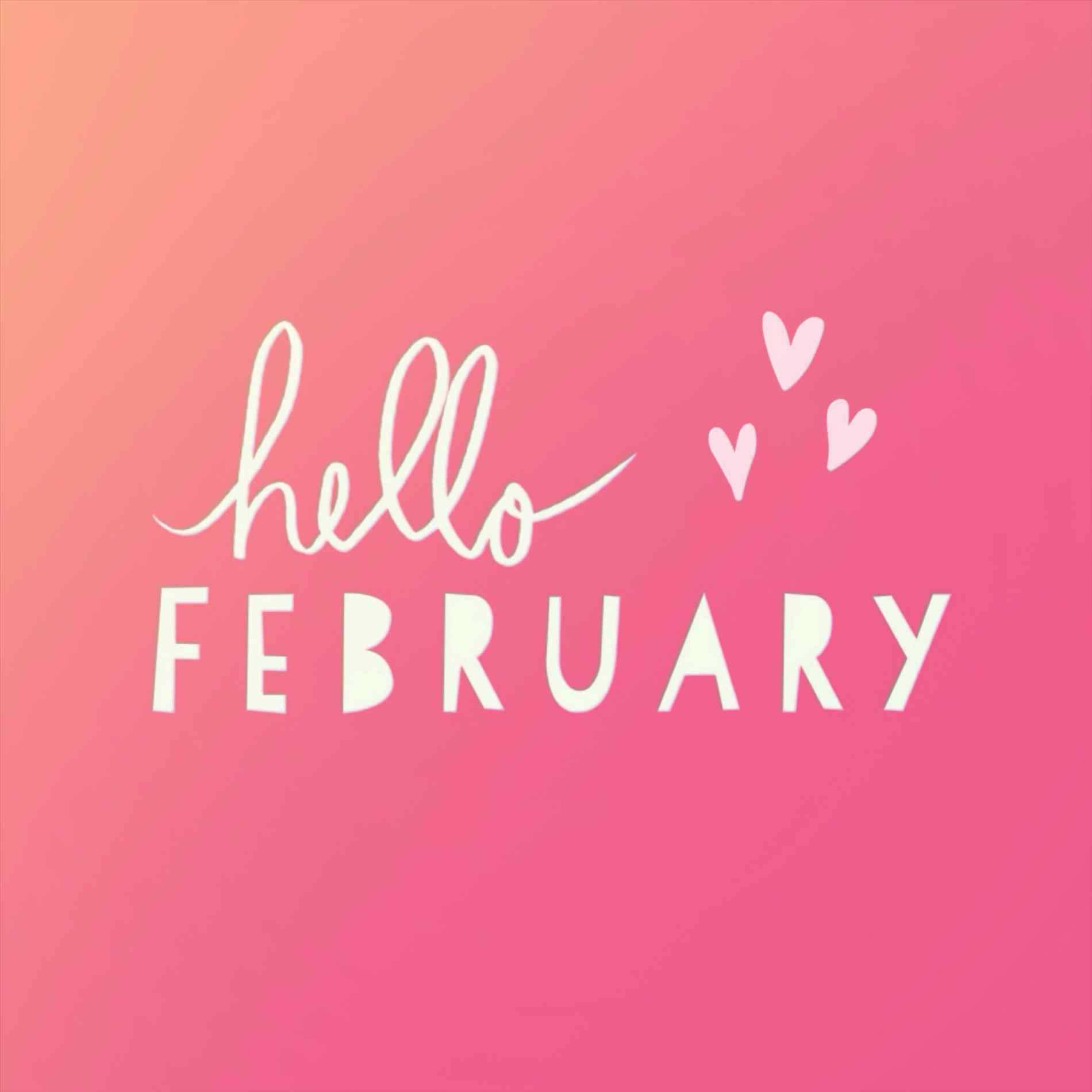 Hello February Pink Background Wallpaper