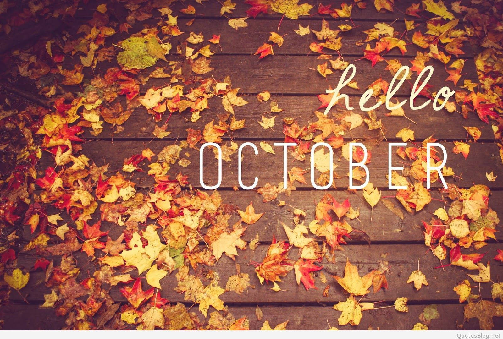 Hello October Autumn Leaves Wallpaper