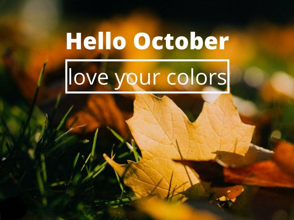 Hello October Love Your Colors Photo Wallpaper