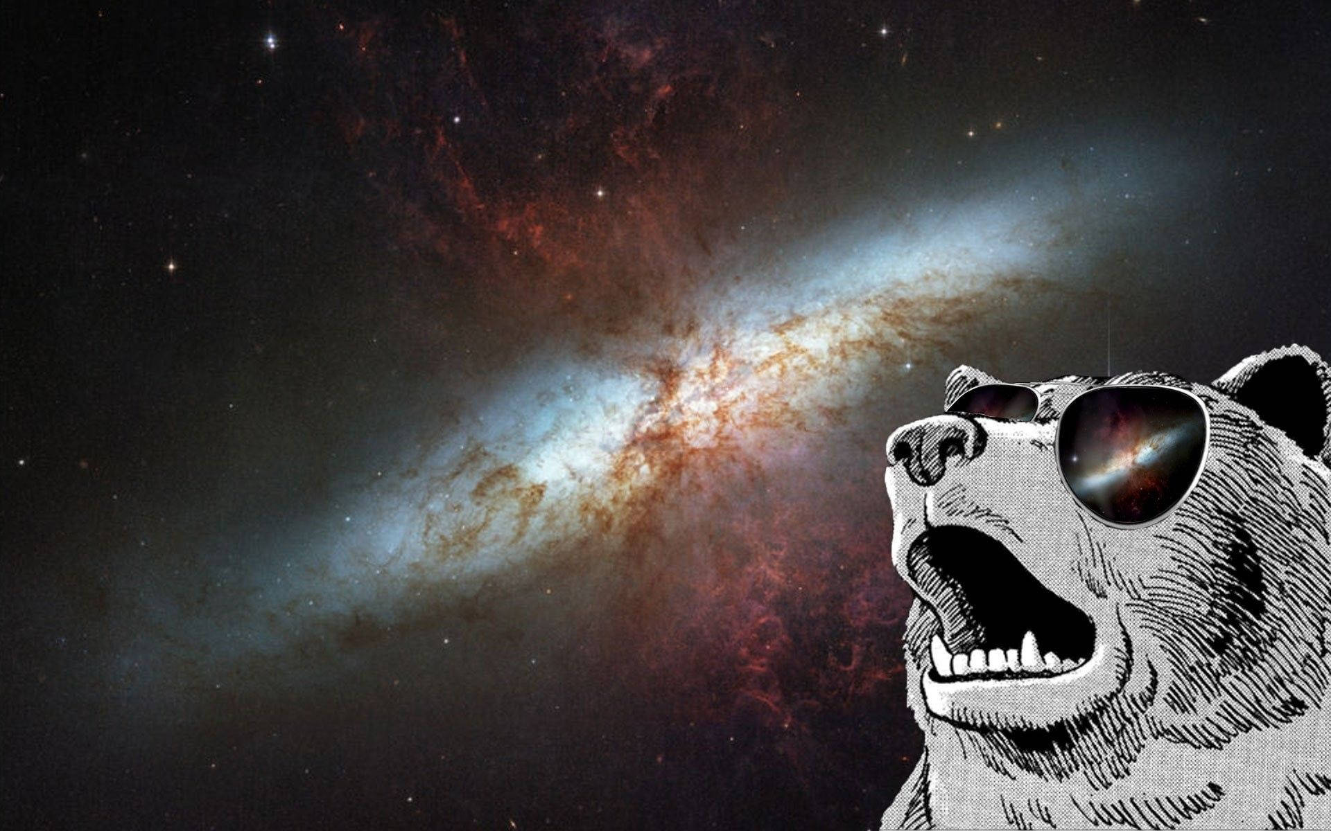 Download free High Dank Meme Bear Wallpaper - MrWallpaper.com