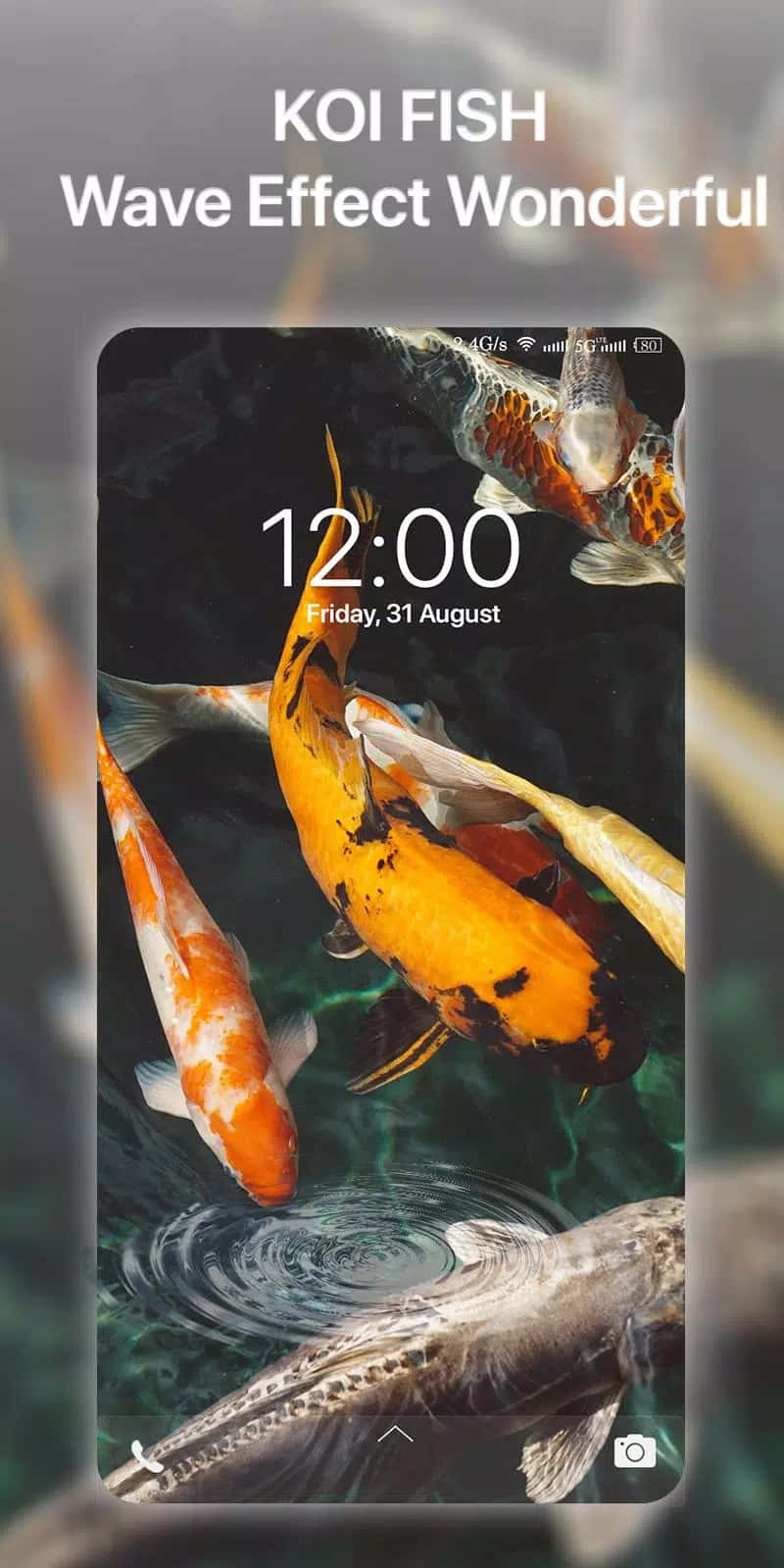 Hopping Koi In The Water Wallpaper